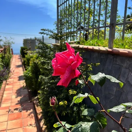 Etna Sunshine Rent Penzion Puntalazzo